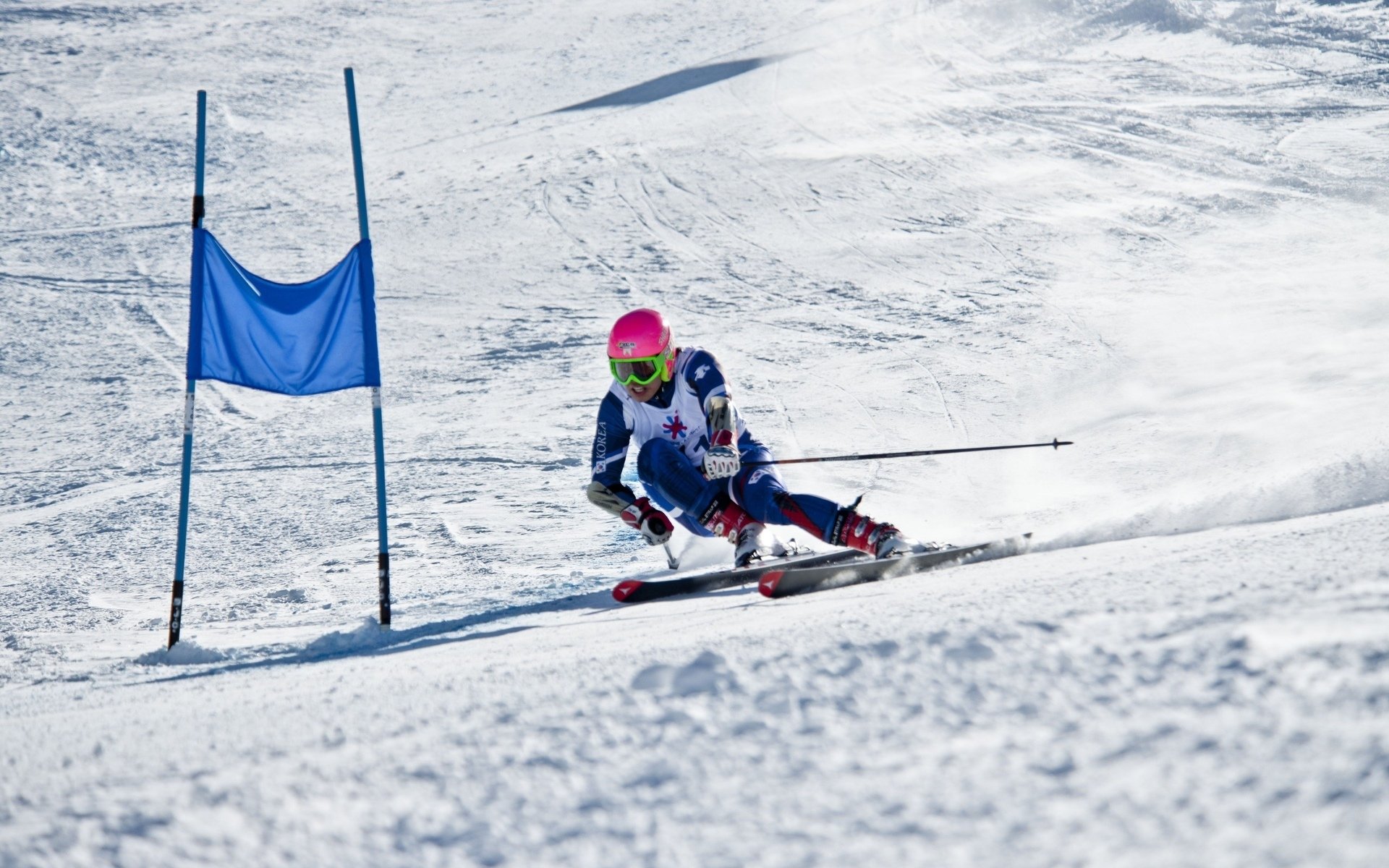 国际花样游泳创编基金评审会第三轮结束:获资助名单公示,花样游泳世界锦标赛